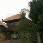 thatch house repairs