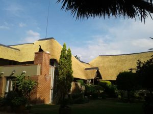 thatch lapa